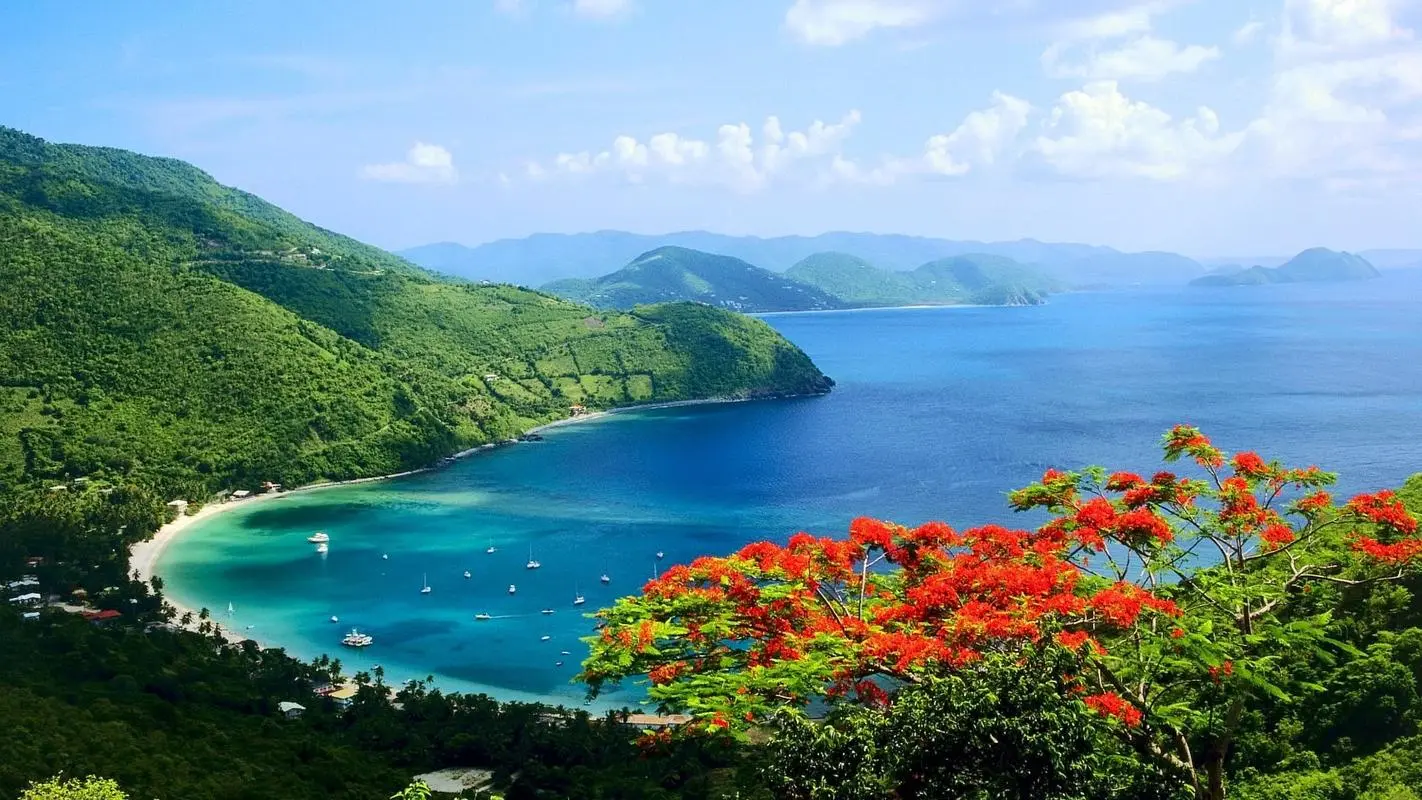 高效高精度智能化